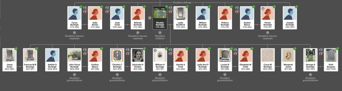 A screenshot of the Burleigh Family Tree
